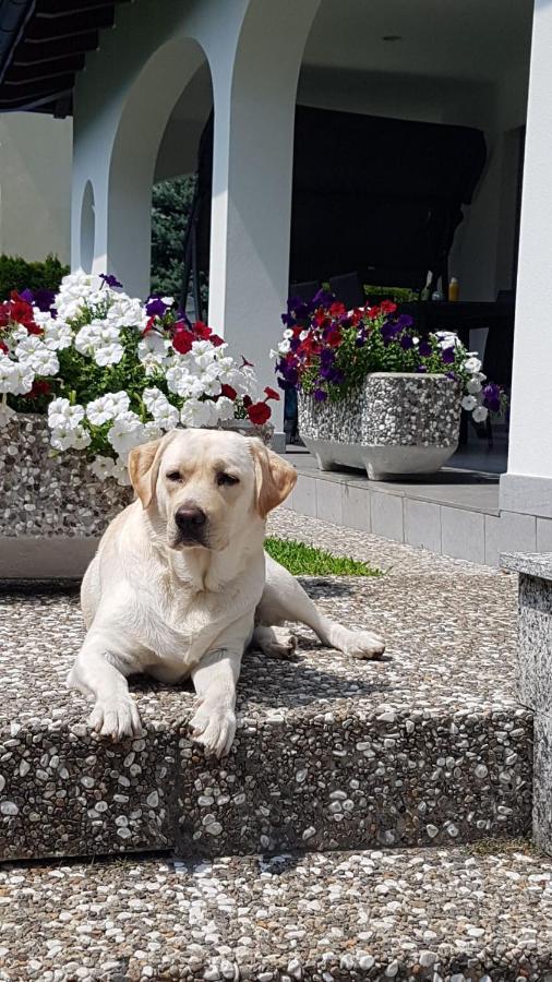 Casa Manuela Tra Bellinzona Locarno E Lugano Apartamento Cadenazzo Exterior foto